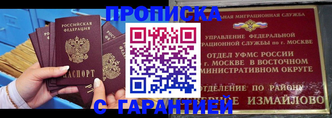 прописка поиск в Звенигово